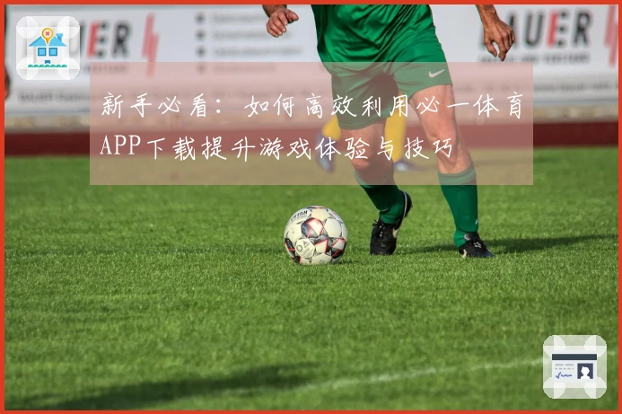 新手必看：如何高效利用必一体育APP下载提升游戏体验与技巧
