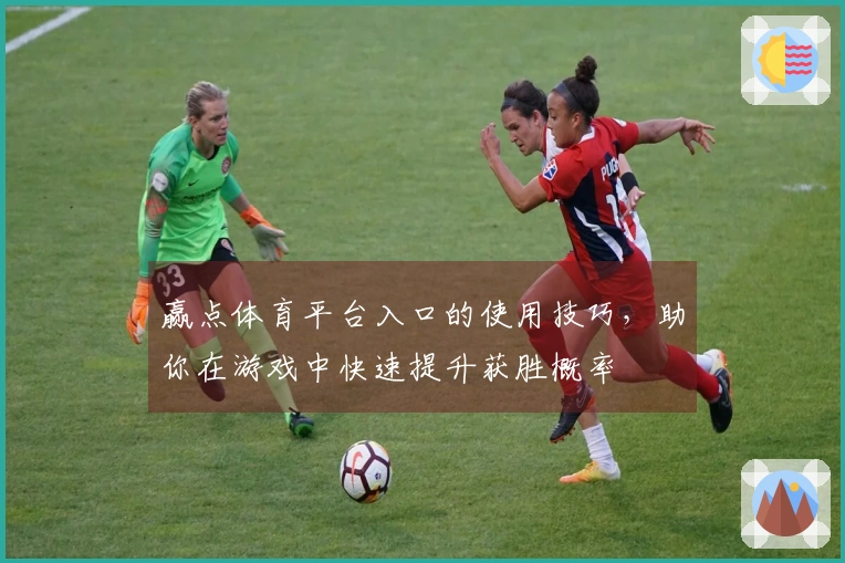 赢点体育平台入口的使用技巧，助你在游戏中快速提升获胜概率