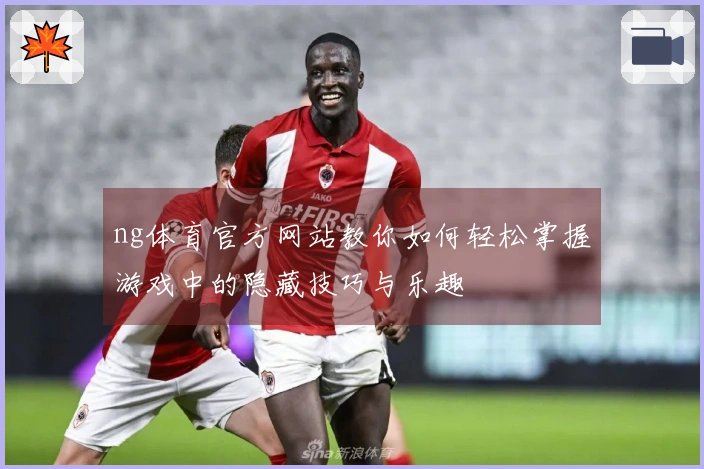 ng体育官方网站教你如何轻松掌握游戏中的隐藏技巧与乐趣