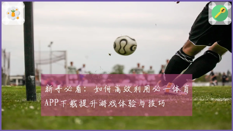 新手必看:如何高效利用必一体育APP下载提升游戏体验与技巧