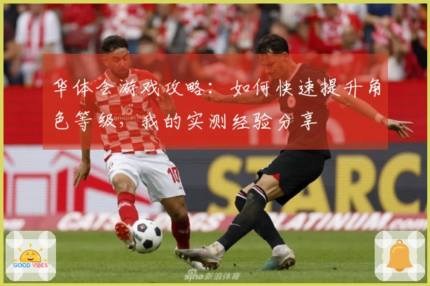 华体会游戏攻略：如何快速提升角色等级，我的实测经验分享